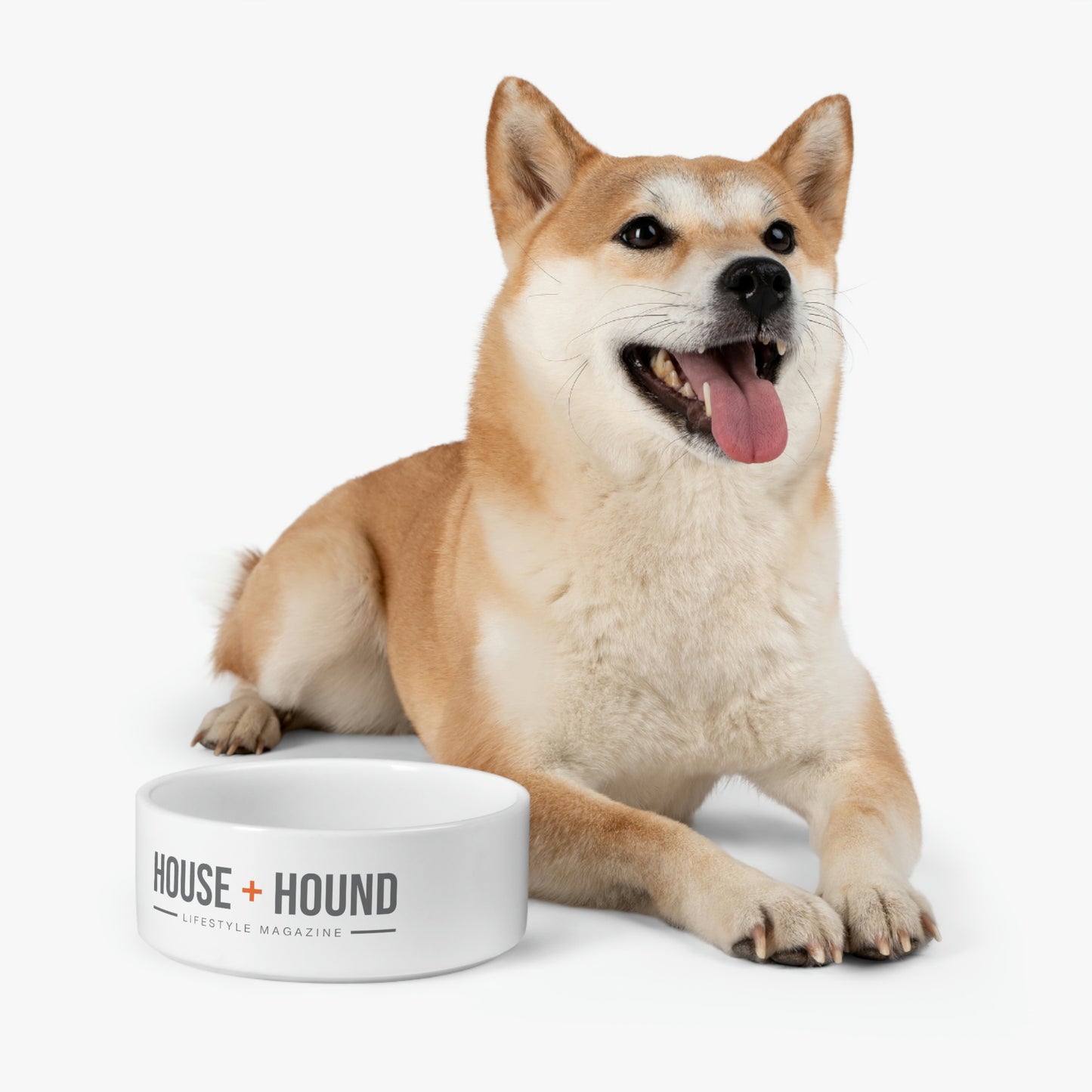 House + Hound Dog Bowl